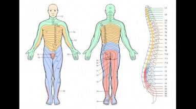 The 9-Minute Rule for What Is the Most Effective Pain Relief for Sciatica? Symptom