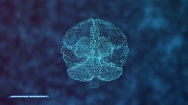 The Greatest Guide To Sciatica - symptoms, pain relief, treatment - Southern Cross NZ