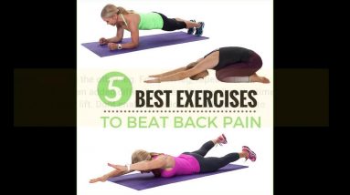 Rumored Buzz on Strengthen your back: 12 easy exercises for lower back pain