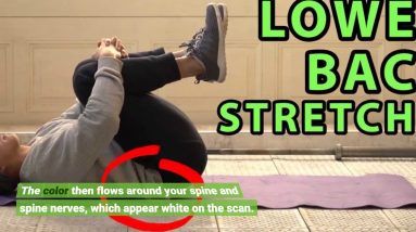The Best Guide To Emergency Low Back Pain and Sciatica Treatment