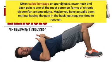 Top Ten Exercises for Lower Back Pain - OrthoAspen Can Be Fun For Anyone