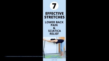 How 5 Exercises For Lower Back Pain - DrAmy O'Donnell can Save You Time, Stress, and Money.