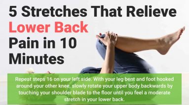 Our Two Exercises to Eliminate Your Low Back Pain Diaries