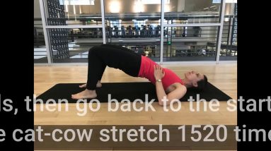 Strengthen your back: 12 easy exercises for lower back pain for Beginners