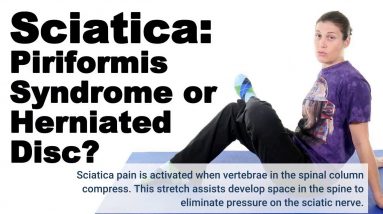 5 Easy Facts About 11 Best Sciatica Stretches for Leg Pain Relief - Sciatica Relief Shown