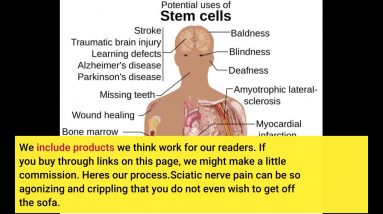 The Buzz on Sciatica Nerve Pain Relief Supplement Sciatic  - Amazon.com