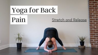 Yoga For Back Pain Relief / Flow and Twist!