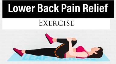Lower Back Pain Relief  Exercises | #exercise