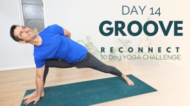 Reconnect: A 30 Day Yoga Challenge | Day 14 - Groove | David O Yoga