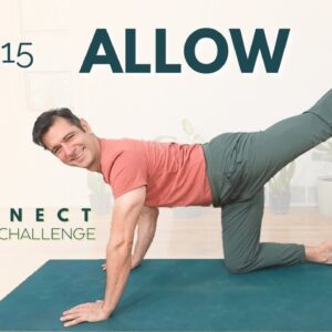 Reconnect: A 30 Day Yoga Challenge | Day 15 - Allow | David O Yoga
