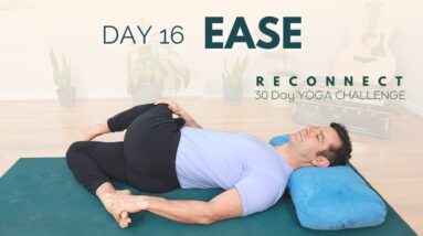 Reconnect: A 30 Day Yoga Challenge | Day 16 - Ease | David O Yoga