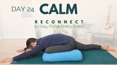 Reconnect: A 30 Day Yoga Challenge | Day 24 - Calm | David O Yoga