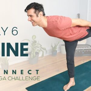 Reconnect: A 30 Day Yoga Challenge | Day 6 - Shine | David O Yoga