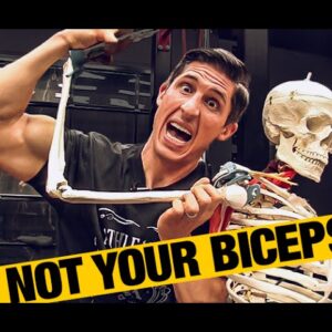 Working Out with Biceps Tendonitis (DON’T SKIP BICEPS!)